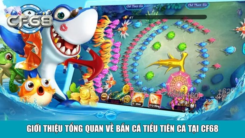 Bắn Cá Tiểu Tiên Cá Tại CF68 – Sân Chơi Giải Trí Đẳng Cấp 2 Giới thiệu tổng quan về Bắn Cá Tiểu Tiên Cá tại CF68